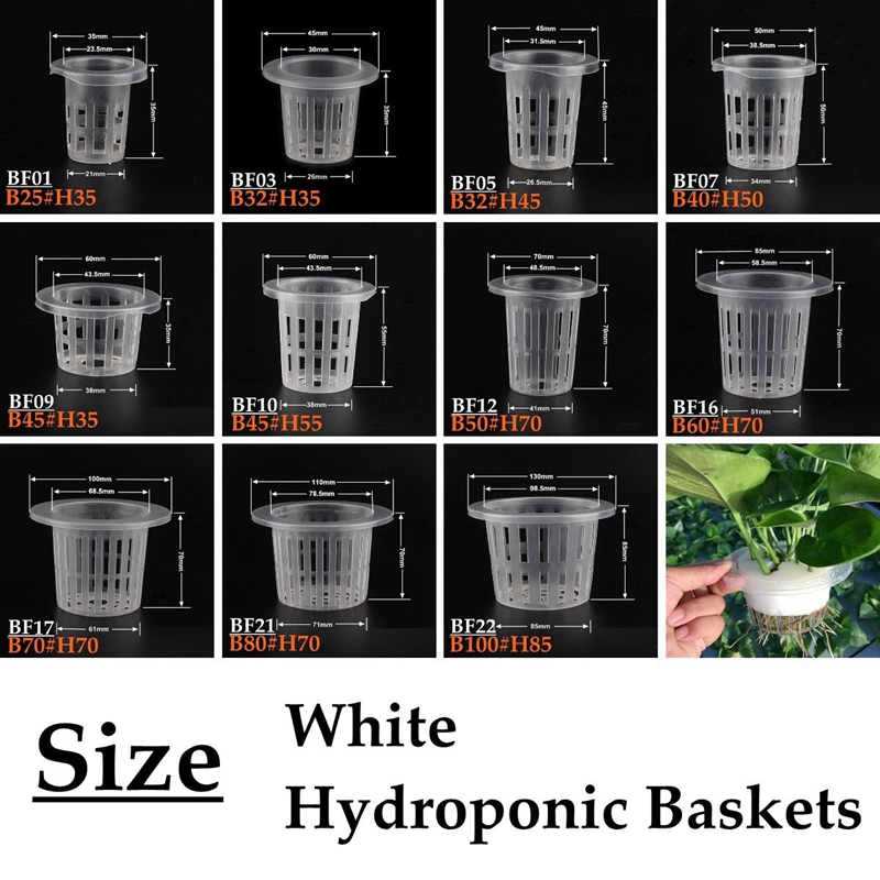 10 sztuk biały hydroponiczny b – Net Pot 3 Inch recenzja i cena